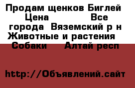 Продам щенков Биглей › Цена ­ 15 000 - Все города, Вяземский р-н Животные и растения » Собаки   . Алтай респ.